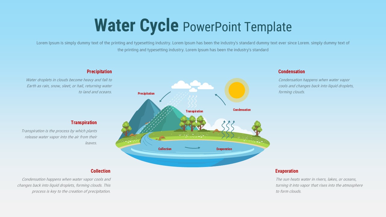 water cycle diagram
