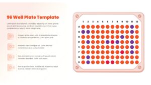 96 Well Plate Analysis Presentation Template