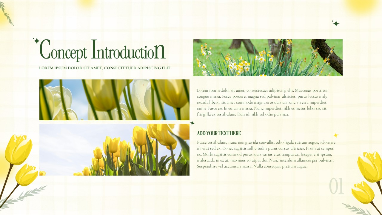Floral concept introduction slide with yellow tulip images, grid background, headline text, and structured content sections.