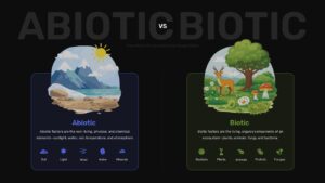 Dark theme abiotic vs biotic comparison template with ecosystem illustrations
