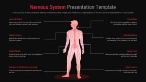 Same nervous system anatomy diagram layout with 8 labeled components on black background creating high contrast design