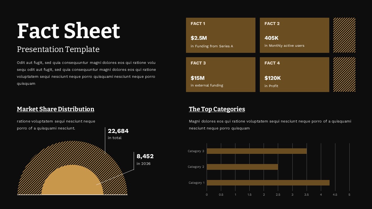 Dark-themed business fact sheet template with key metrics and charts