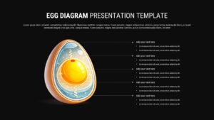 Dark-themed egg diagram perfect for corporate training sessions explaining layered business strategies and development