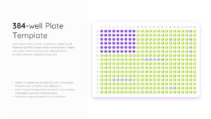 Clean white slide with 384-well plate diagram and bullet point layout