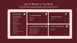 Bone classification template with 5 category cards showing skull, vertebrae, and other bone groups for anatomy courses