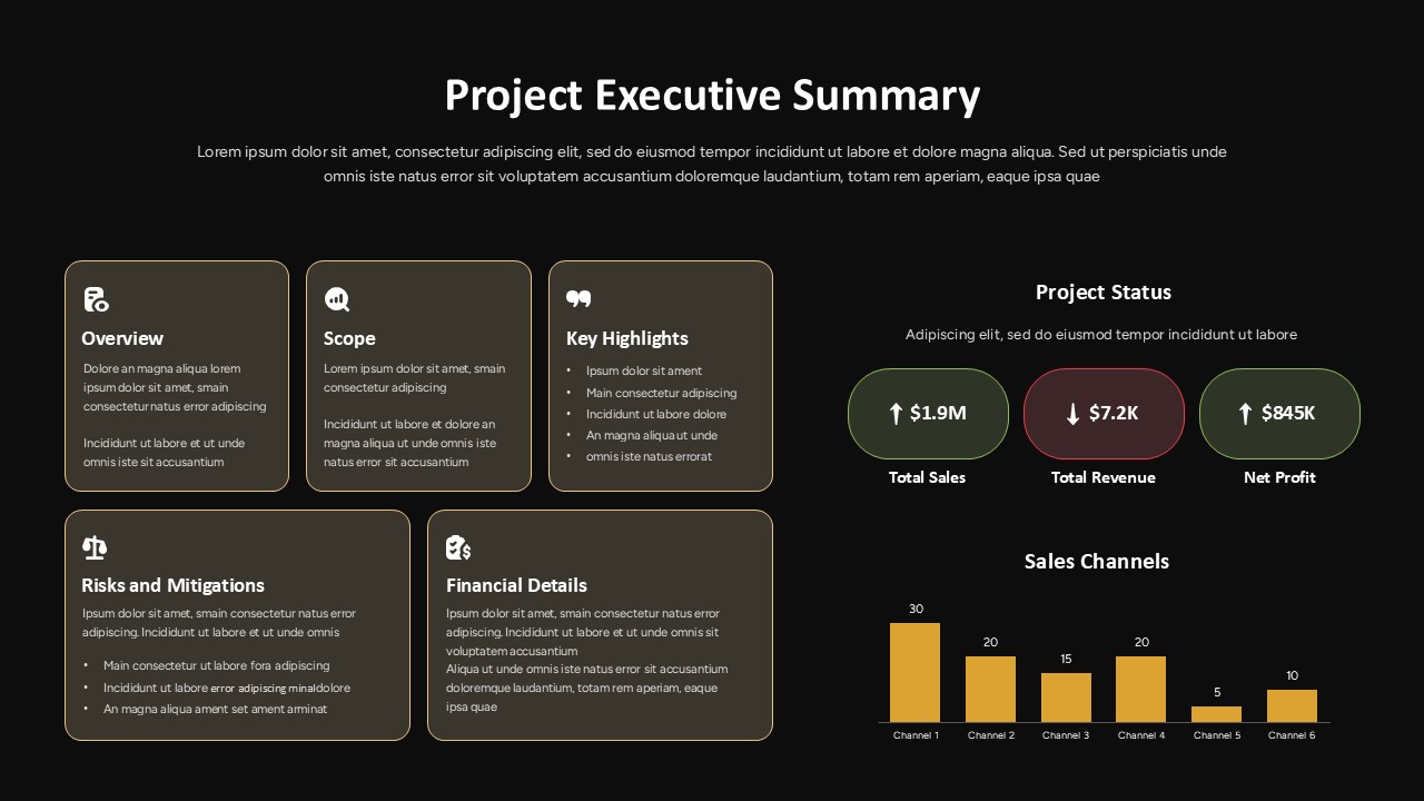Project Executive Summary Template Powerpoint | SlidesDepot